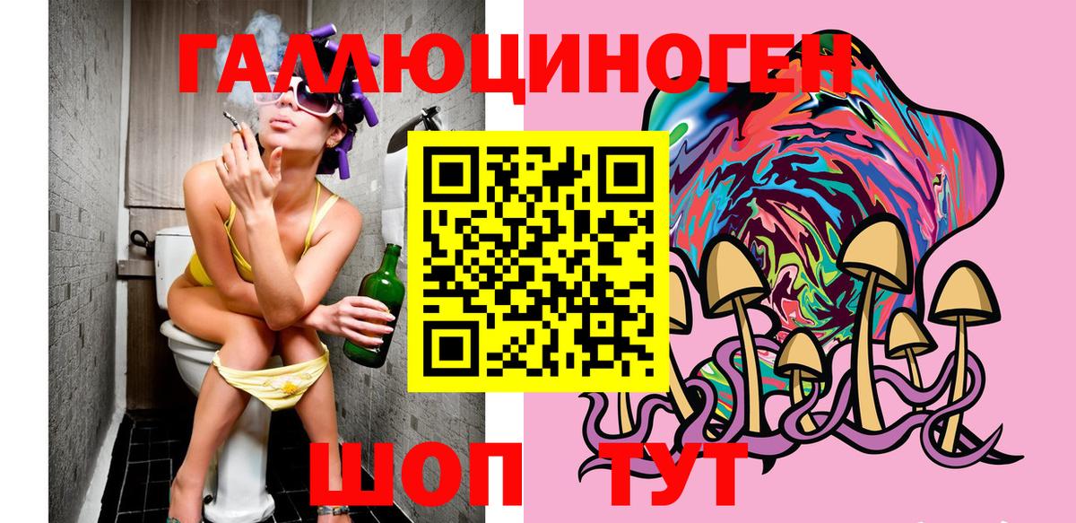 Коряжма  Галлюциногенные грибы Psilocybine cubensis  Вход с VPN  Галлюциногенные грибы Cubensis 